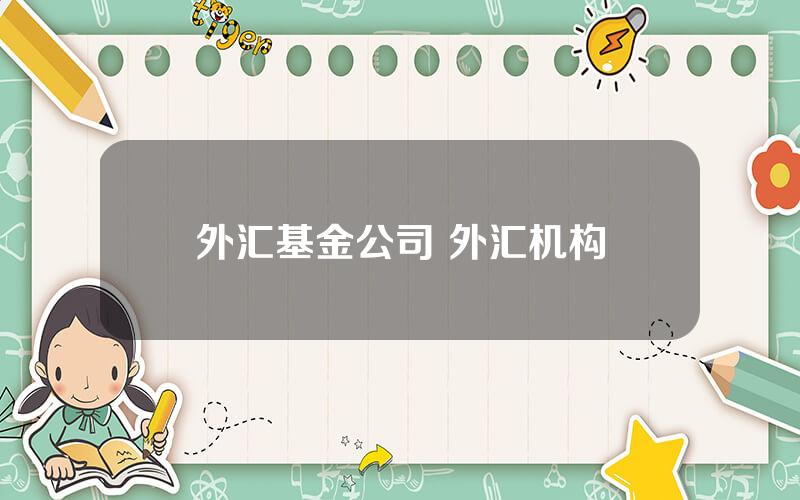 外汇基金公司 外汇机构
